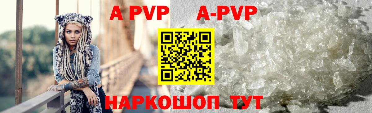 A PVP СК Кингисепп