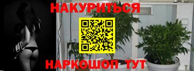гидра Краснодар