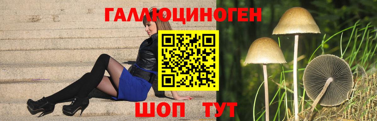 Галлюциногенные грибы MAGIC MUSHROOMS Кингисепп
