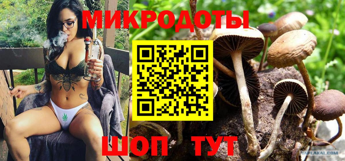 Псилоцибиновые грибы мицелий  Вход с VPN  Кингисепп  Псилоцибиновые грибы мицелий 